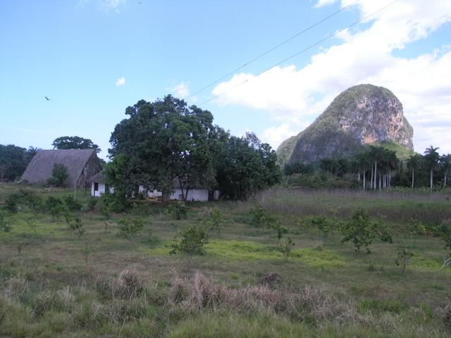 Die Mogotes, Kalksteinmonolithe, haben das charakteristische Aussehen der kubanischen Provinz Pinar del Rio geprägt