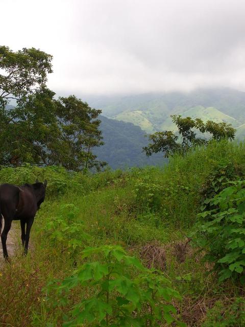 auf dem Weg nach Monteverde