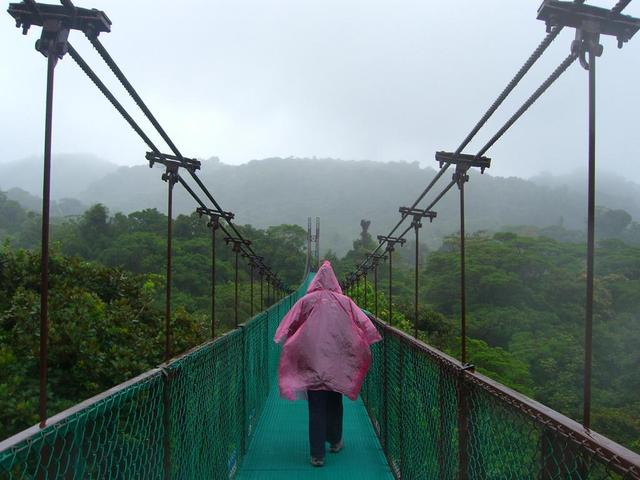 Regen im Monteverde NP