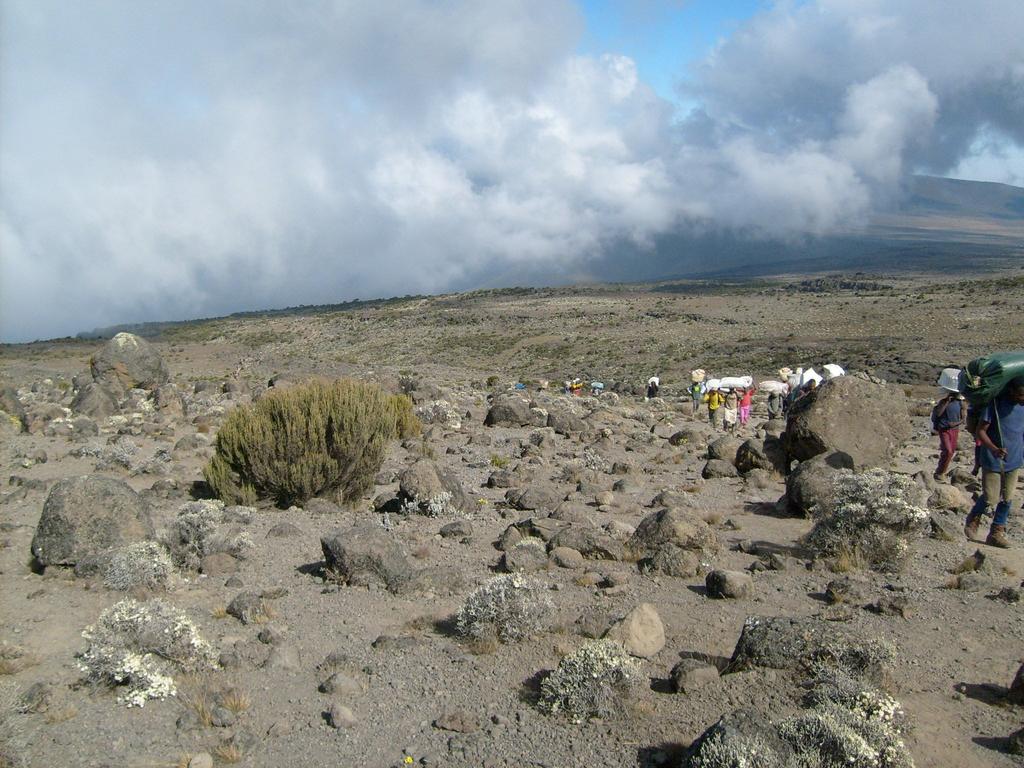 Kilimanjaro-Besteigung