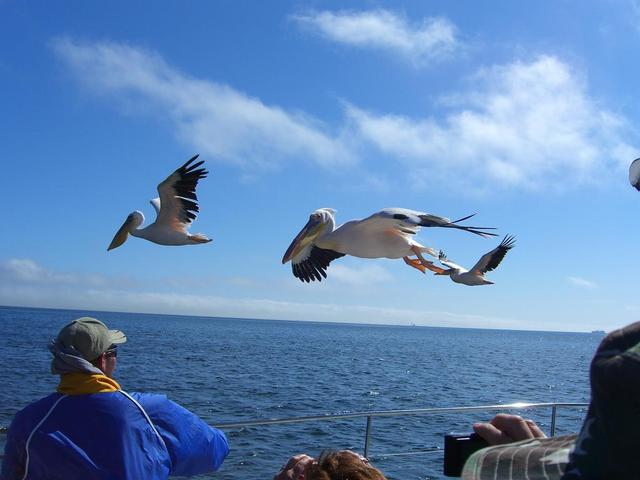 Walvis Bay 29