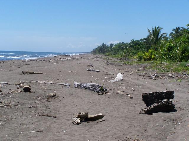 Am Strand von Tortuguero