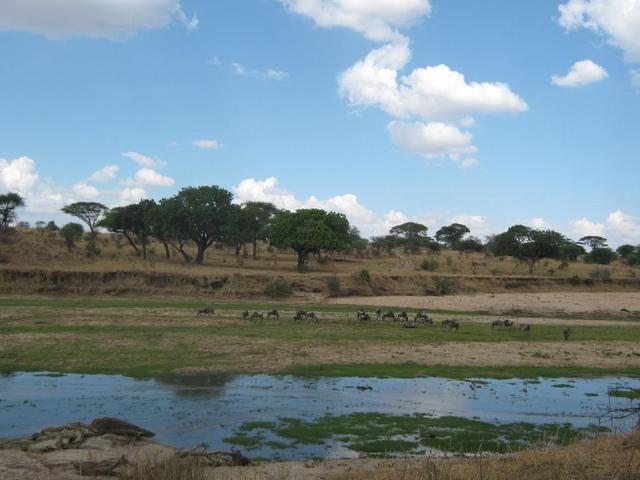 Tarangire Nationalpark