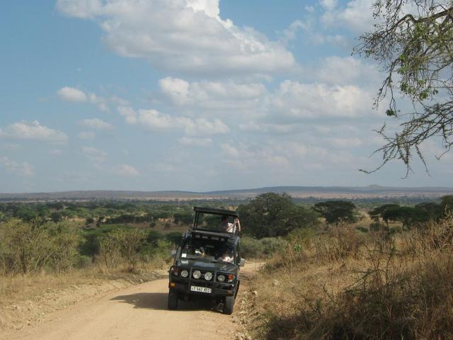 Tarangire Nationalpark